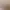 image_1 alt text